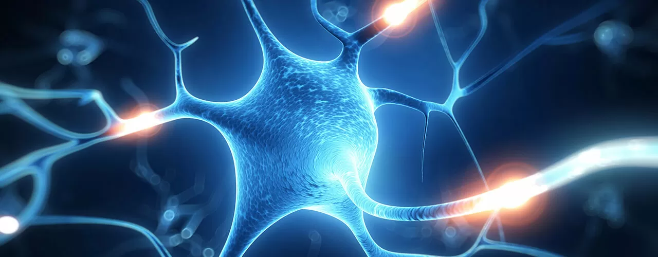 Vestibular Rehab Redmond, WA